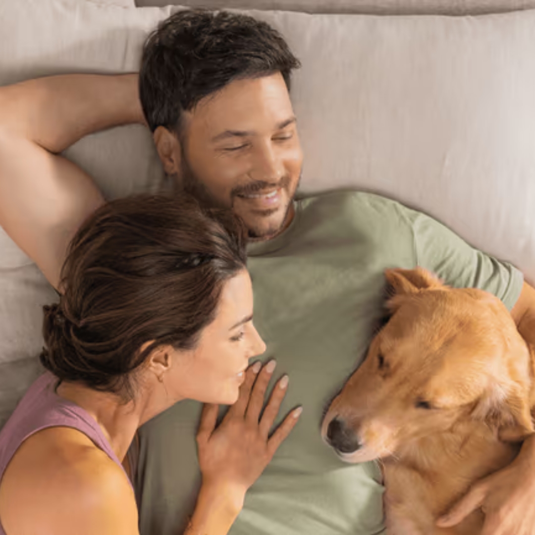 Is Sealy a Good Mattress? Reviews and Buying Guide