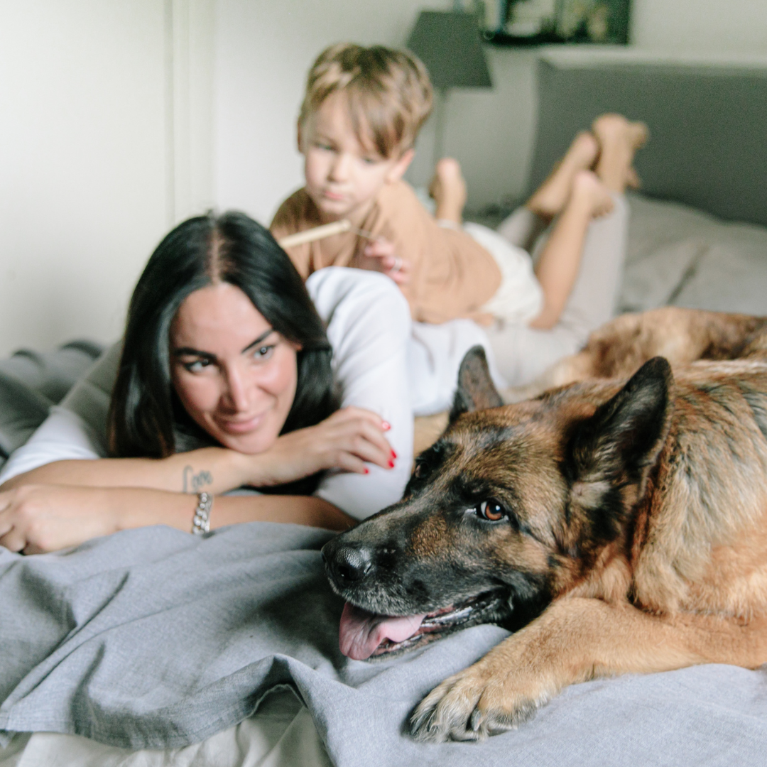 The Benefits of Sealy Posturepedic Mattresses