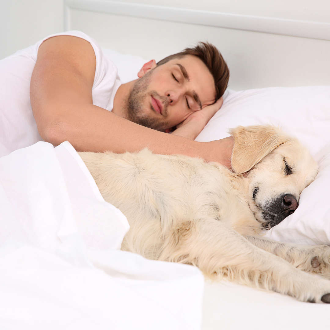 The Ultimate Mattress Buying Guide: Tips for Finding the Perfect Mattress 8 Mattress Direct Blog Post Images 2