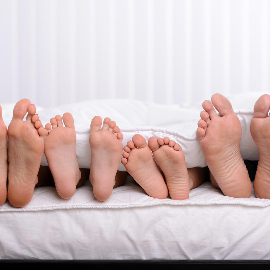 Natural vs Synthetic Latex Mattress: Key Differences You Should Know